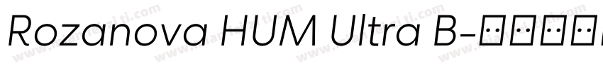 Rozanova HUM Ultra B字体转换